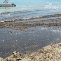 фото из отзыва ID 497393