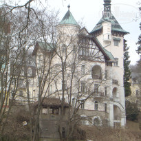 фото из отзыва ID 497815