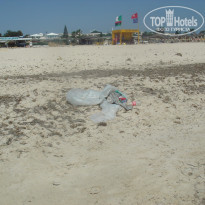 фото из отзыва ID 497393