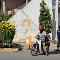 фото из отзыва ID 497822