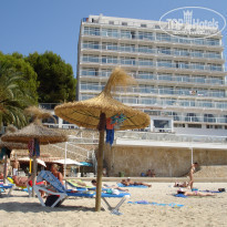 фото из отзыва ID 498217