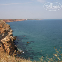 фото из отзыва ID 498290