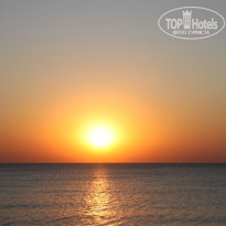 фото из отзыва ID 498290