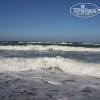 фото из отзыва ID 498290