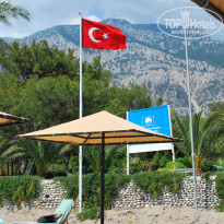 фото из отзыва ID 498293