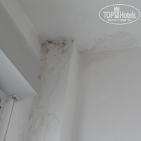 фото из отзыва ID 498354