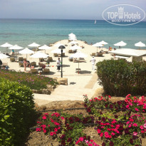 фото из отзыва ID 498483