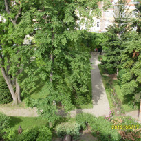 фото из отзыва ID 498551