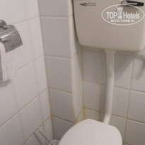 фото из отзыва ID 498821