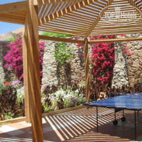 фото из отзыва ID 498906