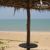 фото из отзыва ID 499510