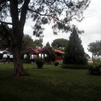 фото из отзыва ID 499894