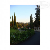 фото из отзыва ID 50006