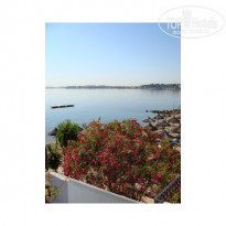 фото из отзыва ID 50006