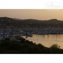 фото из отзыва ID 50006