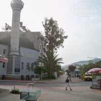 фото из отзыва ID 500502