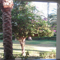 фото из отзыва ID 500719