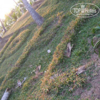 фото из отзыва ID 500738