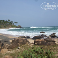 фото из отзыва ID 500738