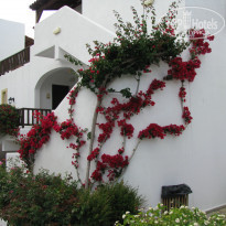 фото из отзыва ID 500765