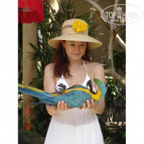 фото из отзыва ID 50125