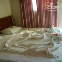 фото из отзыва ID 501037