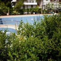 фото из отзыва ID 501116