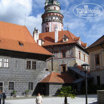 фото из отзыва ID 501681