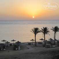 фото из отзыва ID 501707