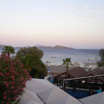 фото из отзыва ID 50226