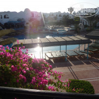 фото из отзыва ID 502284