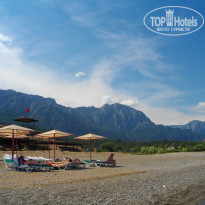 фото из отзыва ID 502376