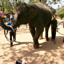 фото из отзыва ID 502663