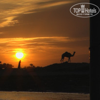 фото из отзыва ID 502920