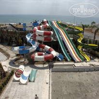 фото из отзыва ID 502966