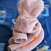 фото из отзыва ID 503008