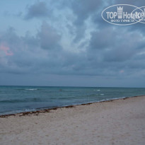 фото из отзыва ID 503210