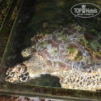 фото из отзыва ID 503261