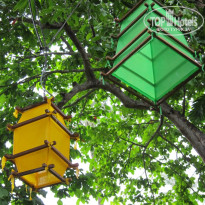 фото из отзыва ID 503708