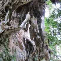 фото из отзыва ID 503708