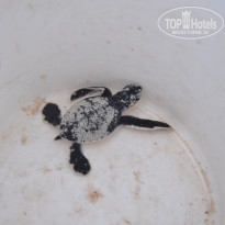 фото из отзыва ID 503717