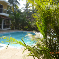 фото из отзыва ID 503705