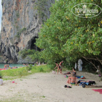 фото из отзыва ID 503708