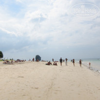 фото из отзыва ID 503708