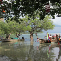 фото из отзыва ID 503708