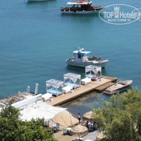 фото из отзыва ID 503606