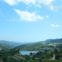 фото из отзыва ID 503199