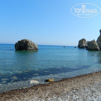 фото из отзыва ID 503199