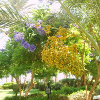 фото из отзыва ID 50491