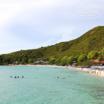 фото из отзыва ID 504256